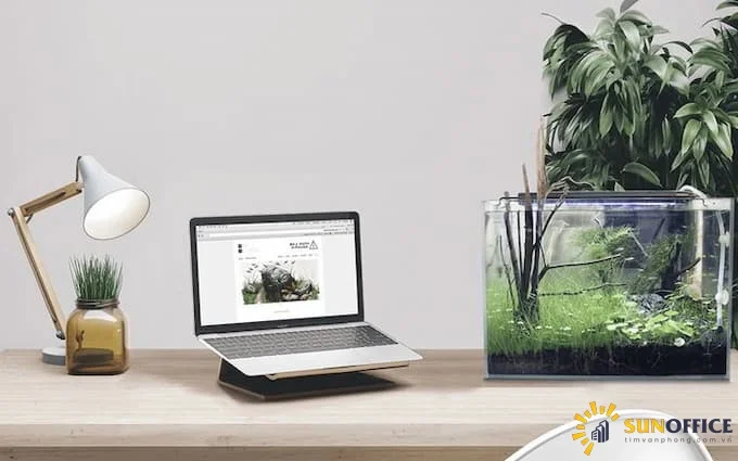 Đặt bể cá cảnh trên bàn làm việc vừa đẹp lại vừa hút tài lộc