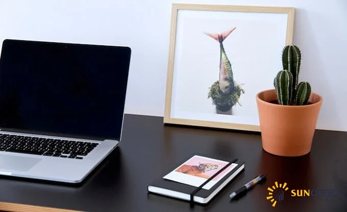 Những đồ vật cần tránh đặt trên bàn làm việc 3 Hạn chế đặt cây xương rồng trên bàn làm việc